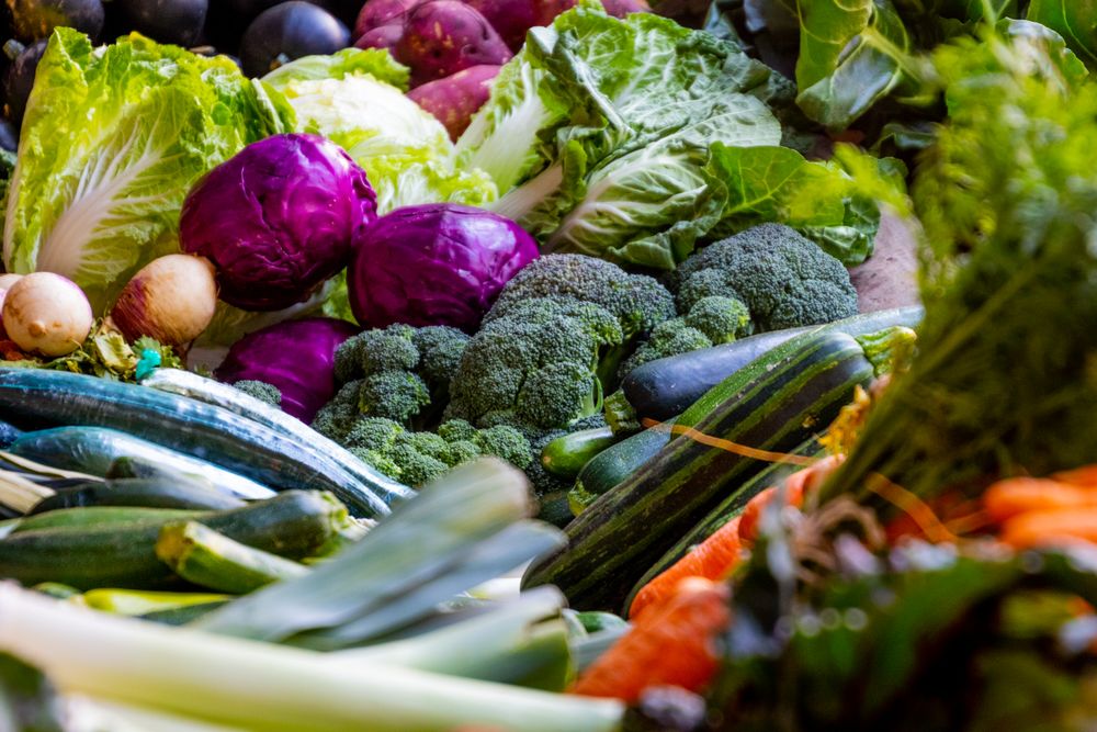 La table du Sud-Ouest : menus de terroir