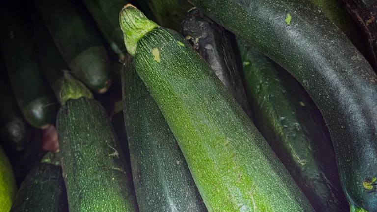 Tarte courgette : dégorger, précuire, éviter l’eau