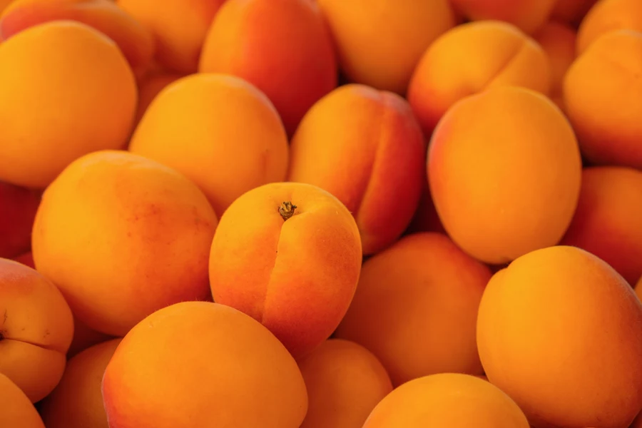 Tas d’abricots mûrs de couleur orangée, vus de dessus